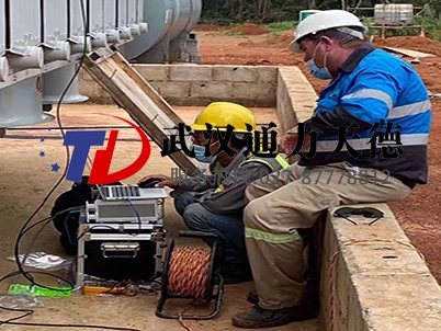阿根（gēn）廷變壓器繞組變形測試（shì）儀試驗現場