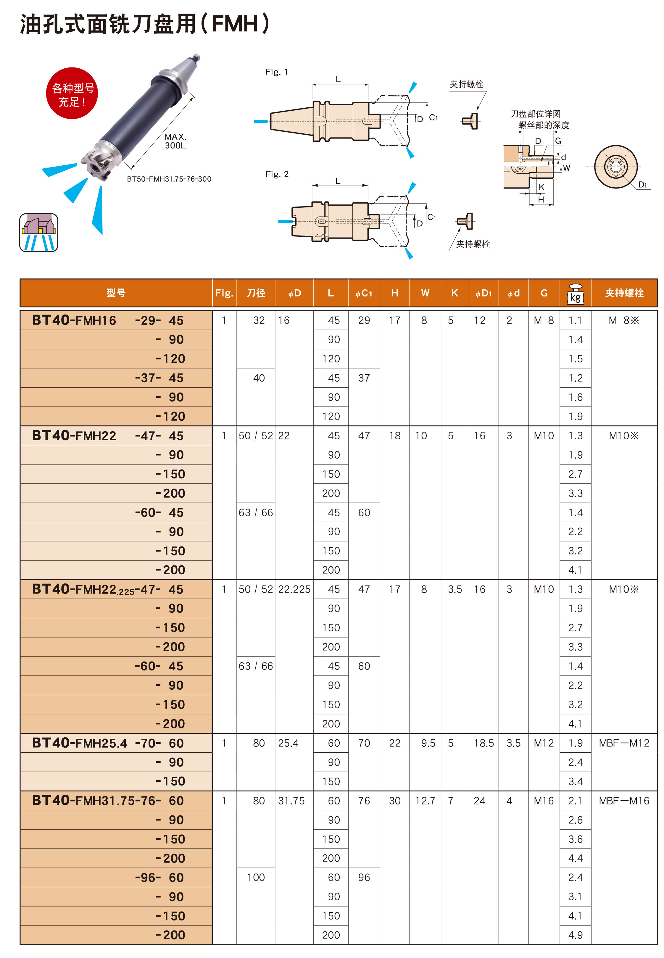 油孔式麵銑刀盤（pán）用（FMH）