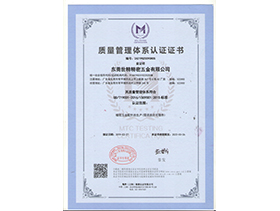 IS09001:2015质量管理（lǐ）体系认证
